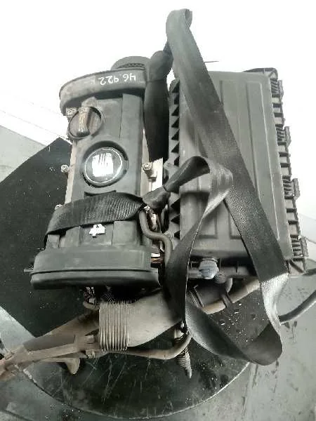 Despiece Motor para Seat Ibiza (6L1)
