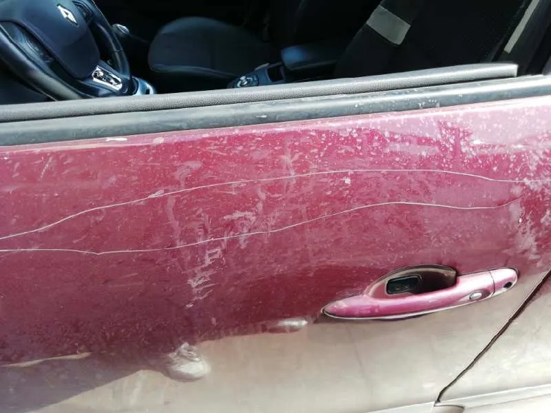 Puerta Delantera Izquierda para Renault Scenic Iii