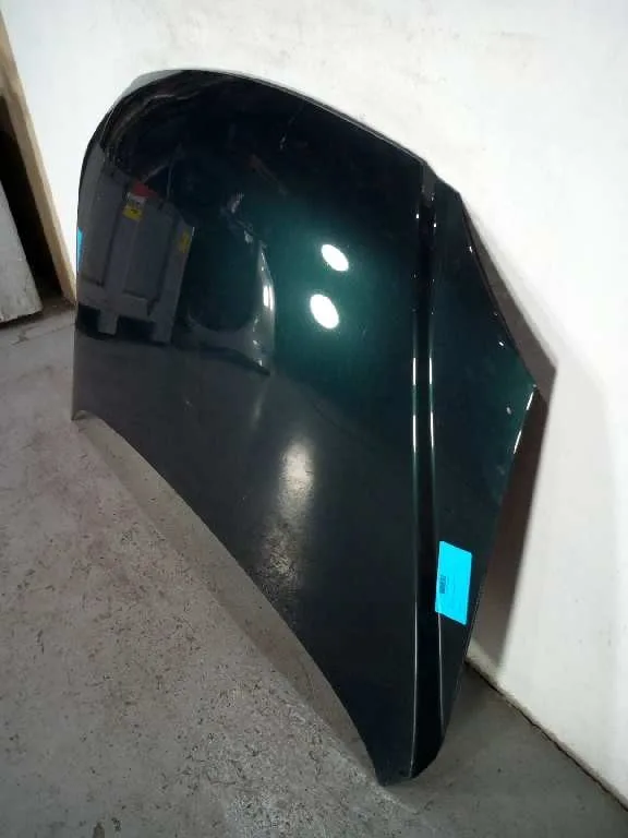 Capot para Kia Carens