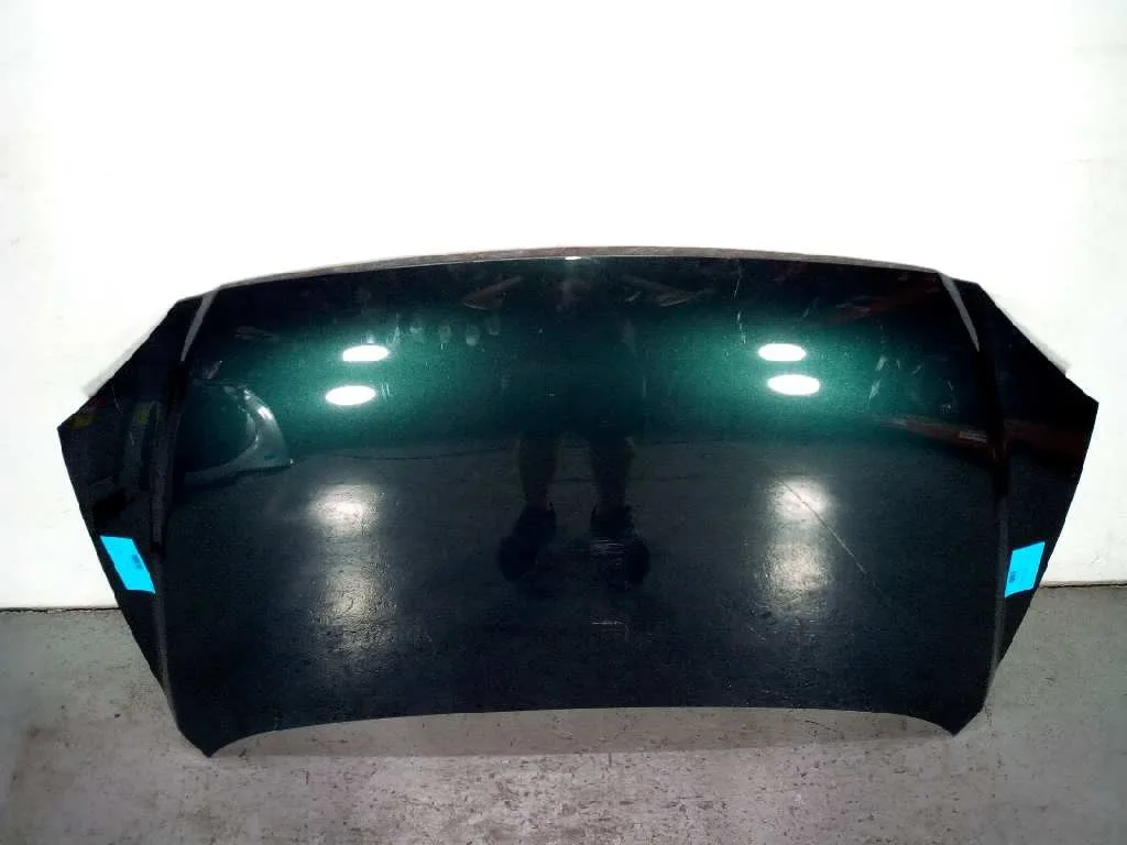 Capot para Kia Carens