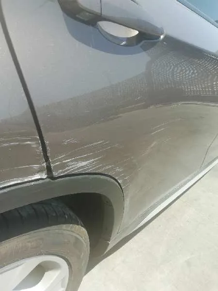 Puerta Trasera Derecha para Bmw X1 (E84)