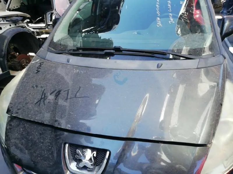 Capot para Peugeot 5008