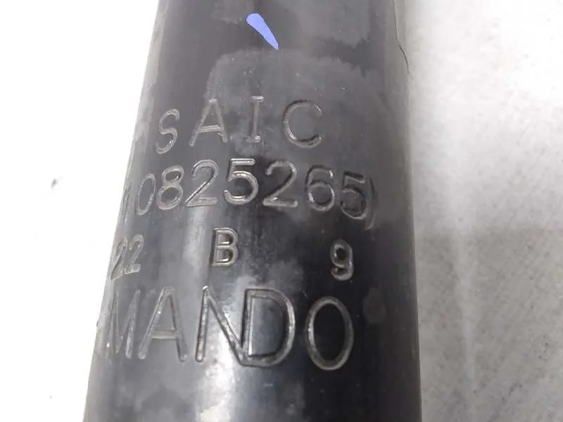 Amortiguador Trasero Derecho para Mg Zs Luxury