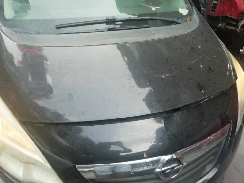 Capot para Opel Meriva B