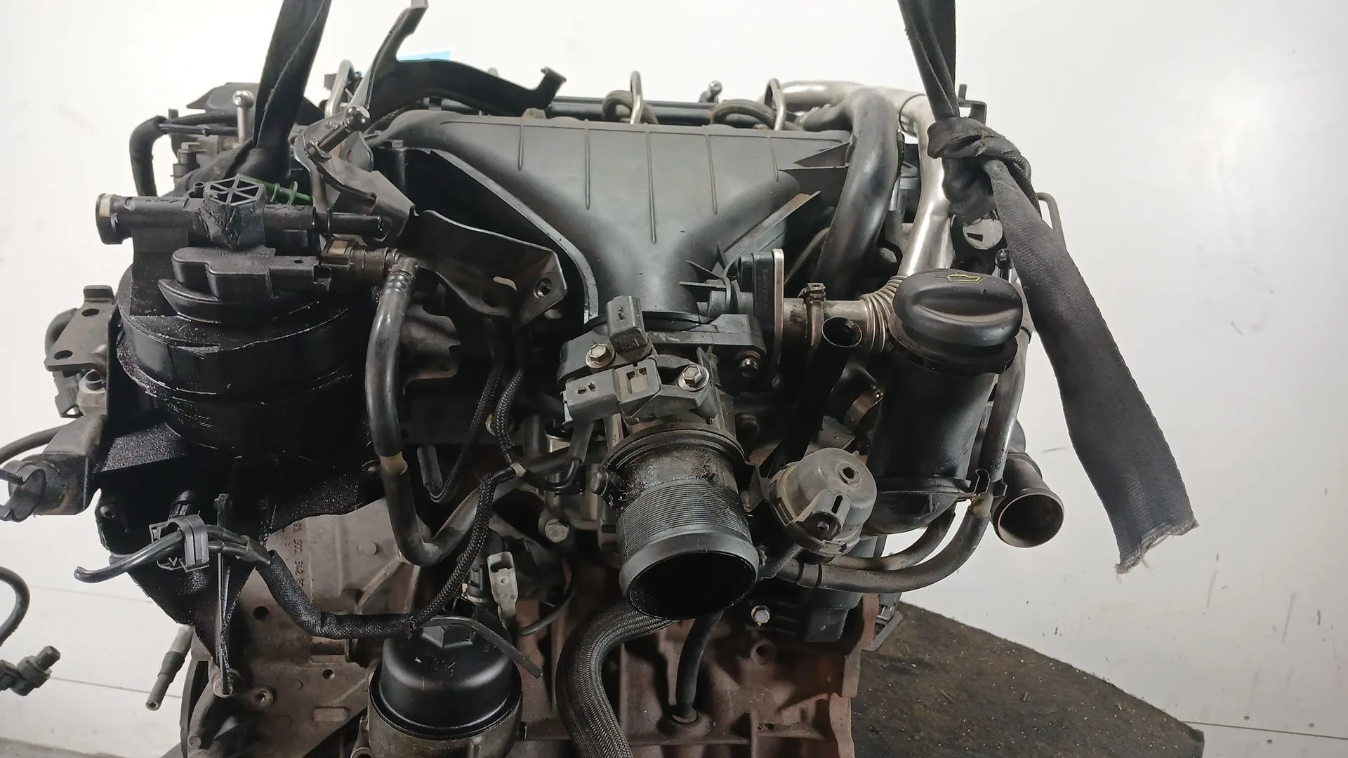 Despiece Motor para Ford Focus Berlina (Cap)