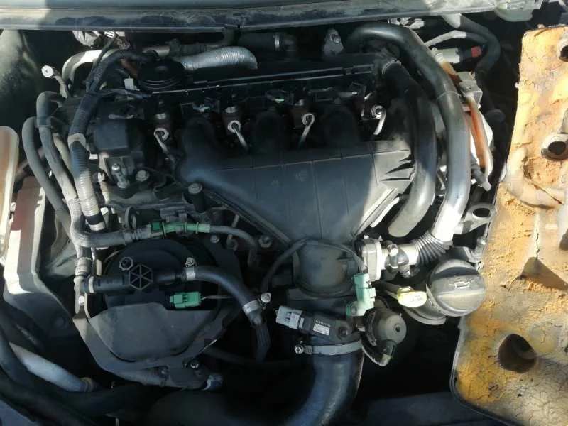 Despiece Motor para Ford Focus Berlina (Cap)