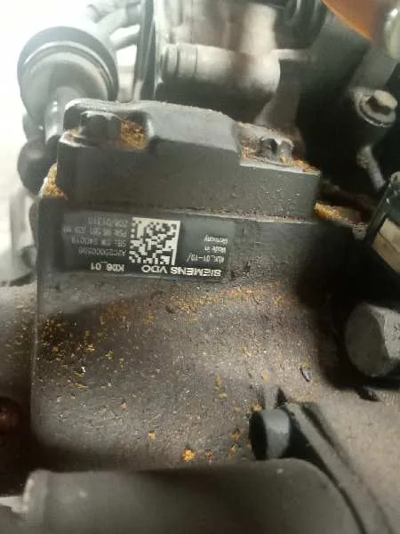 Despiece Motor para Ford Focus Berlina (Cap)