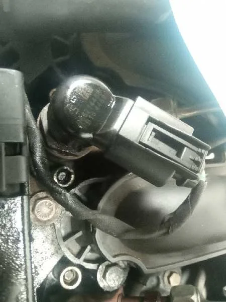 Despiece Motor para Ford Focus Berlina (Cap)