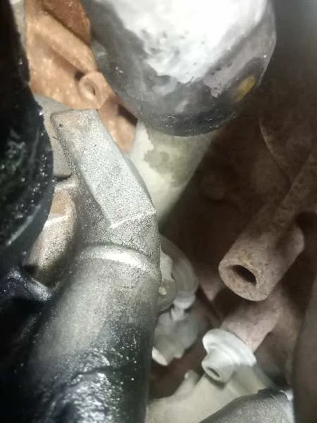 Despiece Motor para Ford Focus Berlina (Cap)