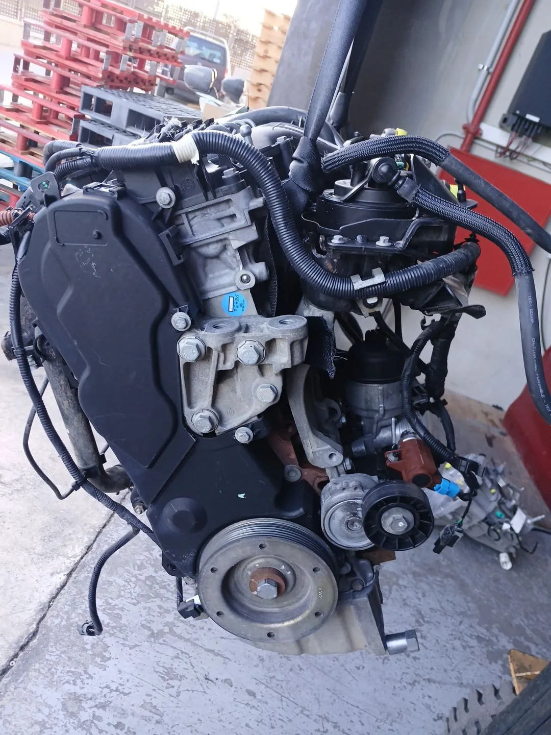 Despiece Motor para Ford Focus Berlina (Cap)