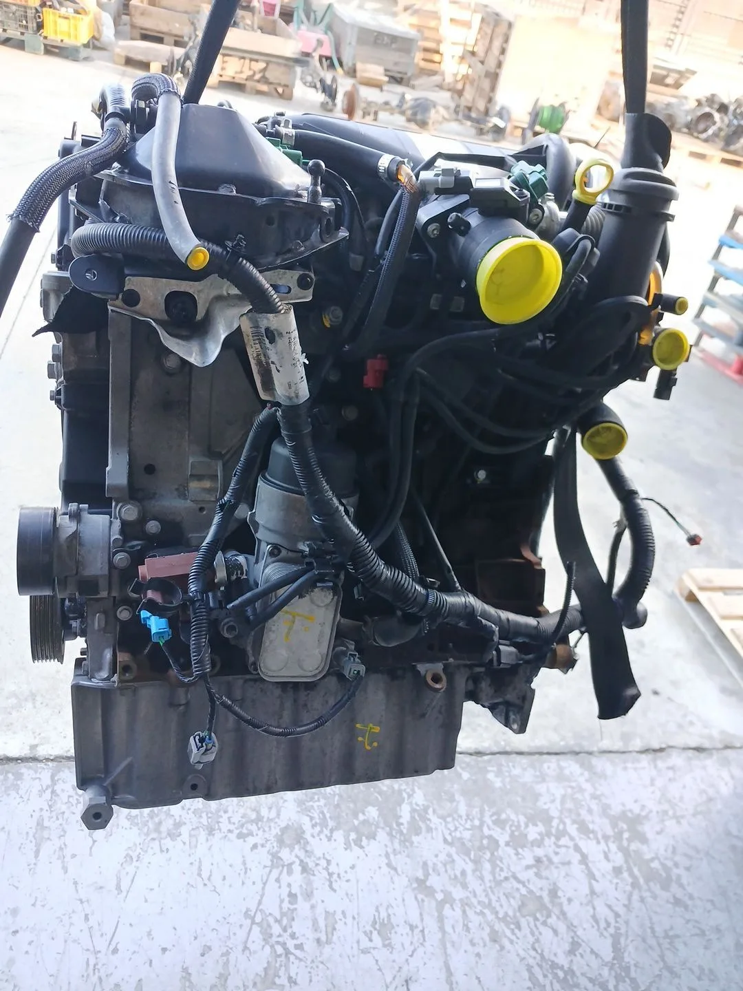 Despiece Motor para Ford Focus Berlina (Cap)