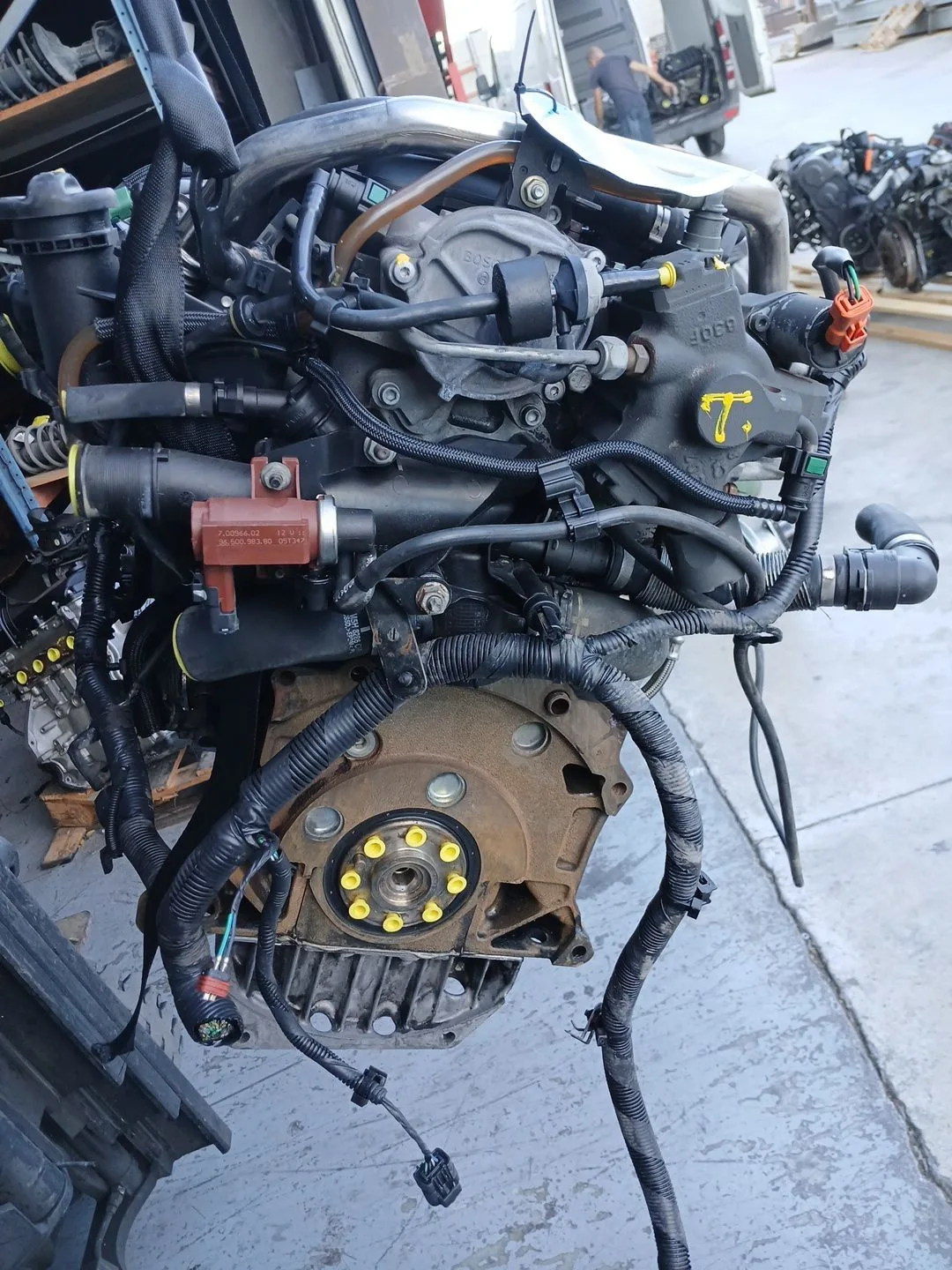 Despiece Motor para Ford Focus Berlina (Cap)