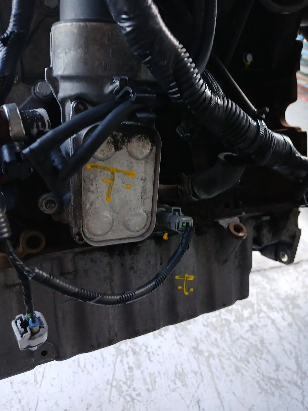 Despiece Motor para Ford Focus Berlina (Cap)