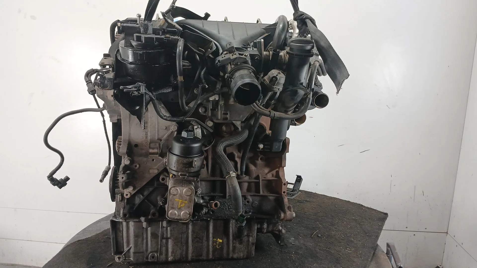 Despiece Motor para Ford Focus Berlina (Cap)