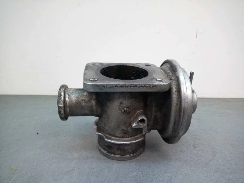 Valvula Egr para Bmw Serie 3 Berlina (E46)