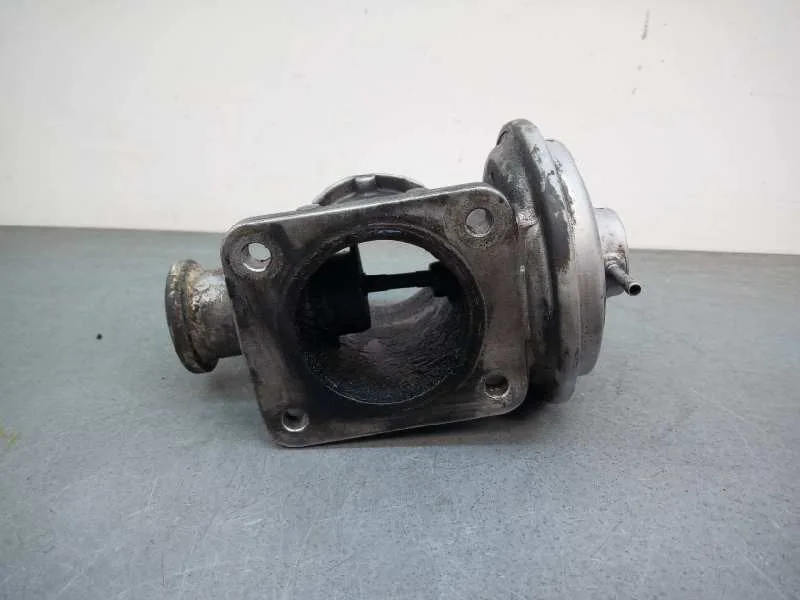 Valvula Egr para Bmw Serie 3 Berlina (E46)