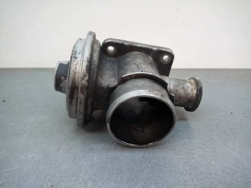 Valvula Egr para Bmw Serie 3 Berlina (E46)