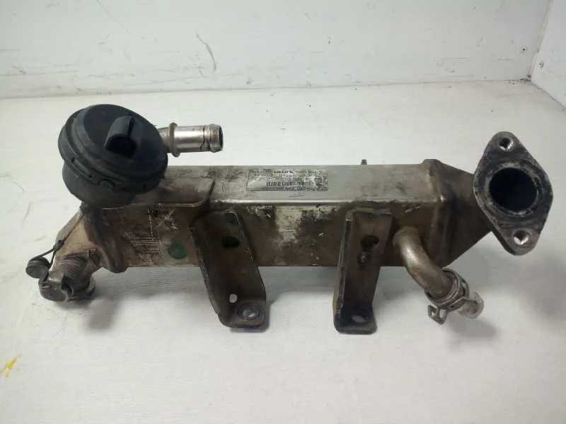 Enfriador Egr para Renault Laguna Iii