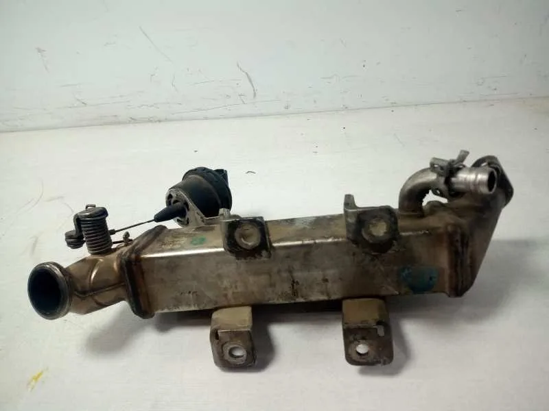 Enfriador Egr para Renault Laguna Iii