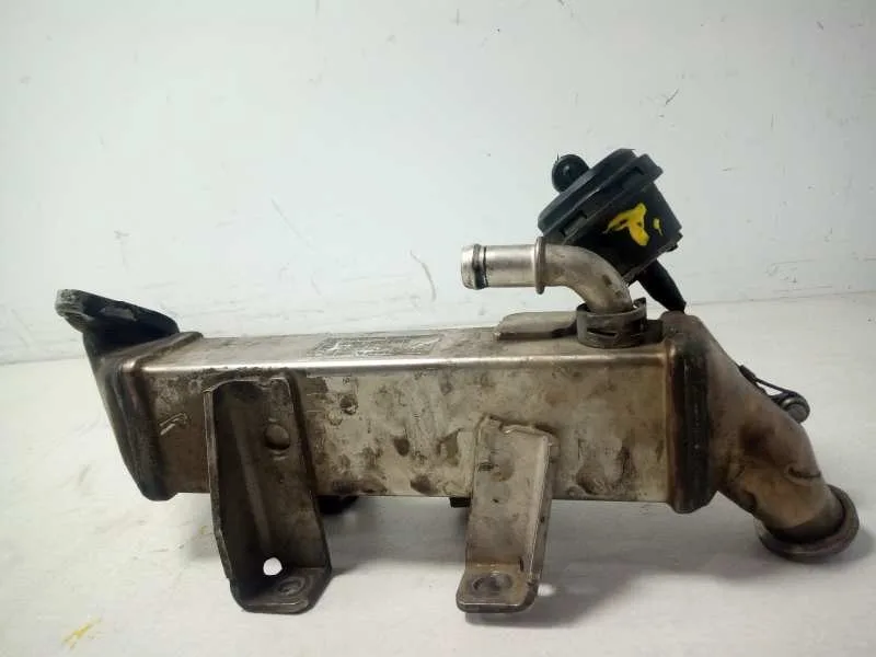 Enfriador Egr para Renault Laguna Iii