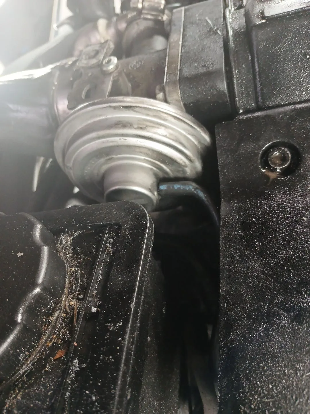 Valvula Egr para Bmw Serie 3 Berlina (E46)