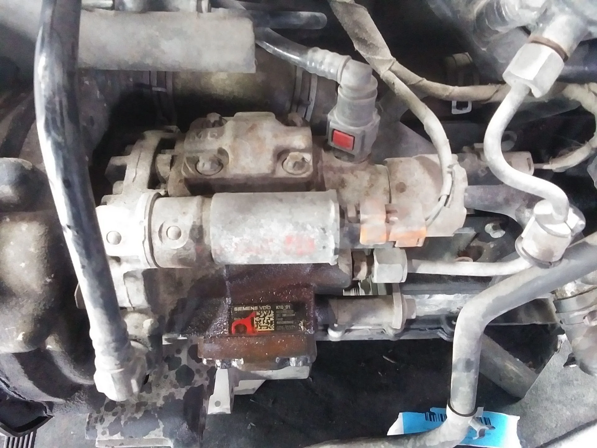 Bomba Inyeccion para Ford Transit Connect (P65_, P70_, P80_)