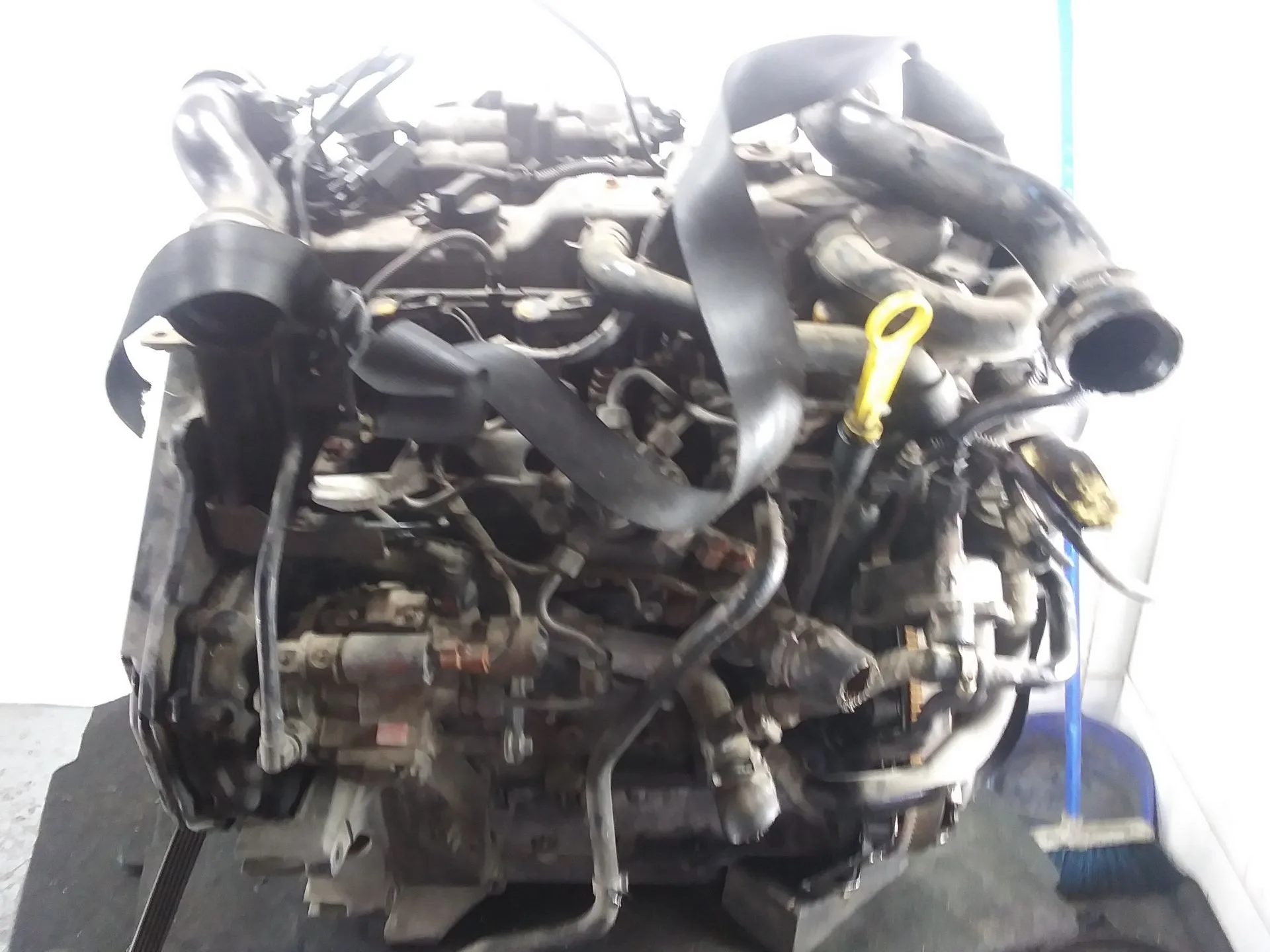 Despiece Motor para Ford Transit Connect (P65_, P70_, P80_)