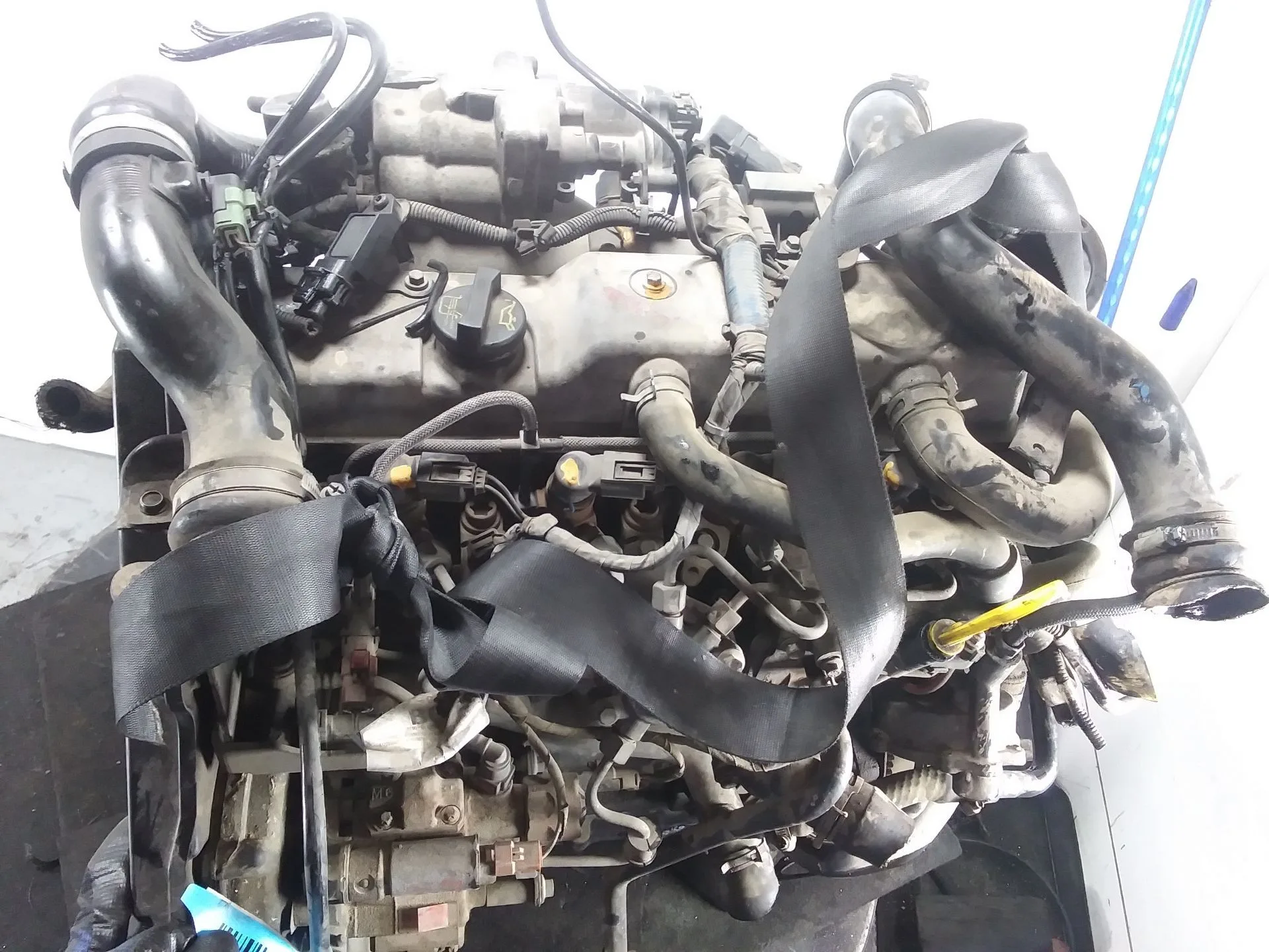 Despiece Motor para Ford Transit Connect (P65_, P70_, P80_)