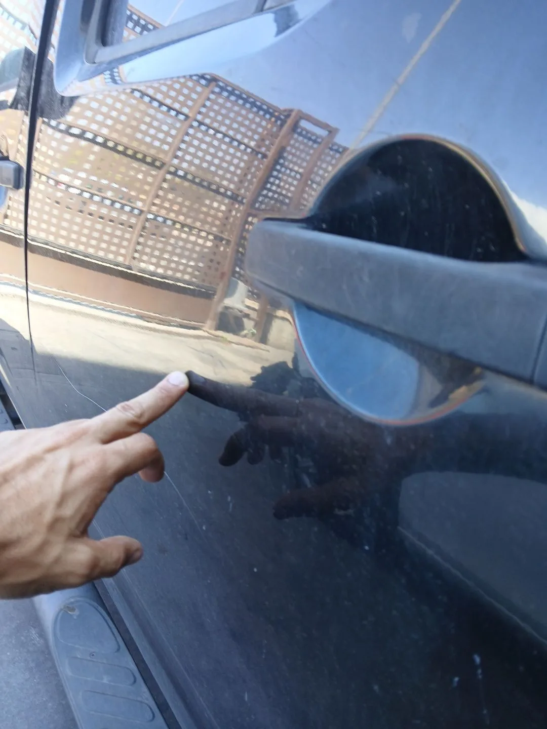Puerta Trasera Izquierda para Nissan Navara Np300 (D40)