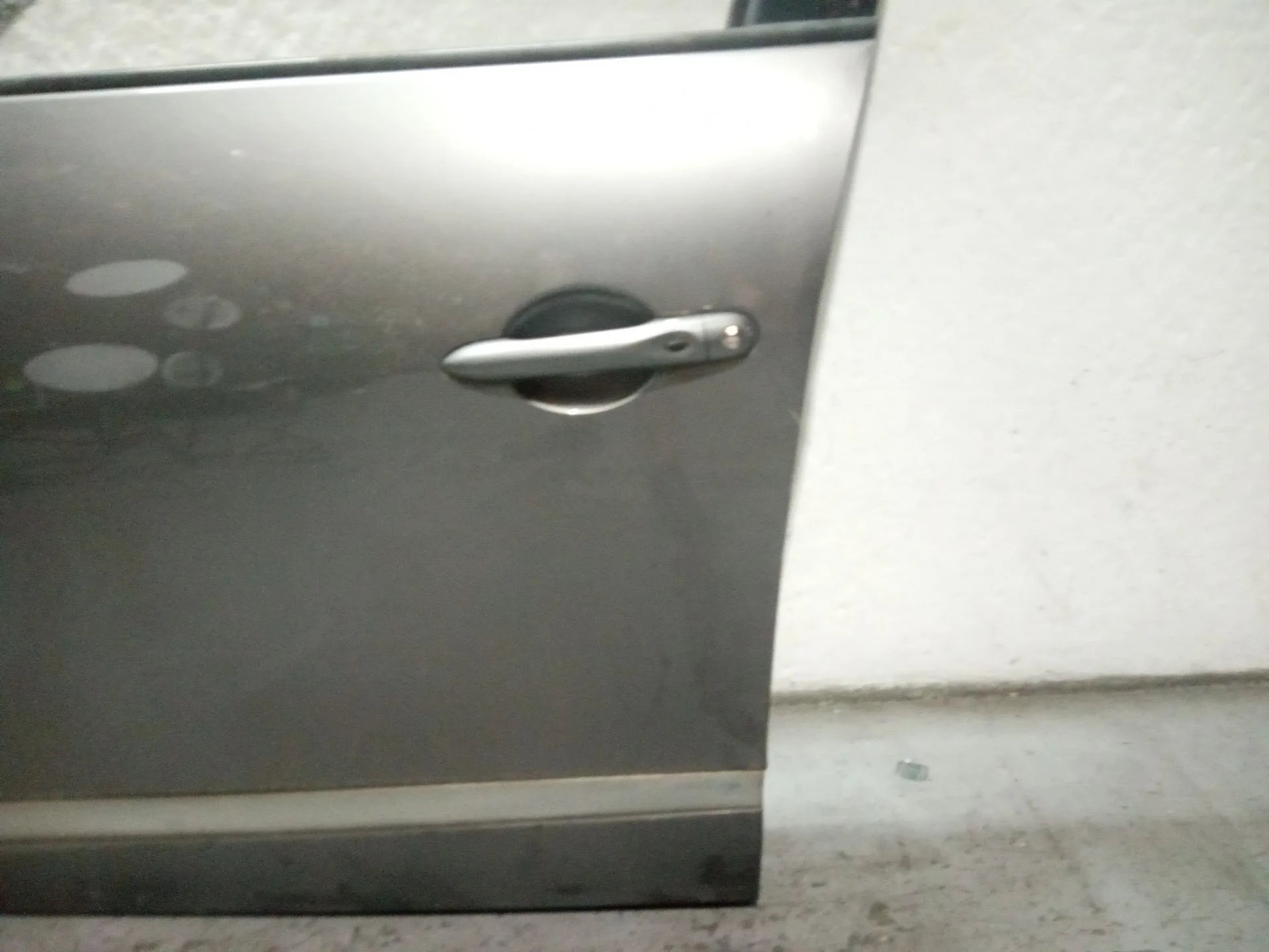 Puerta Delantera Izquierda para Renault Scenic Iii (Jz0/1_)