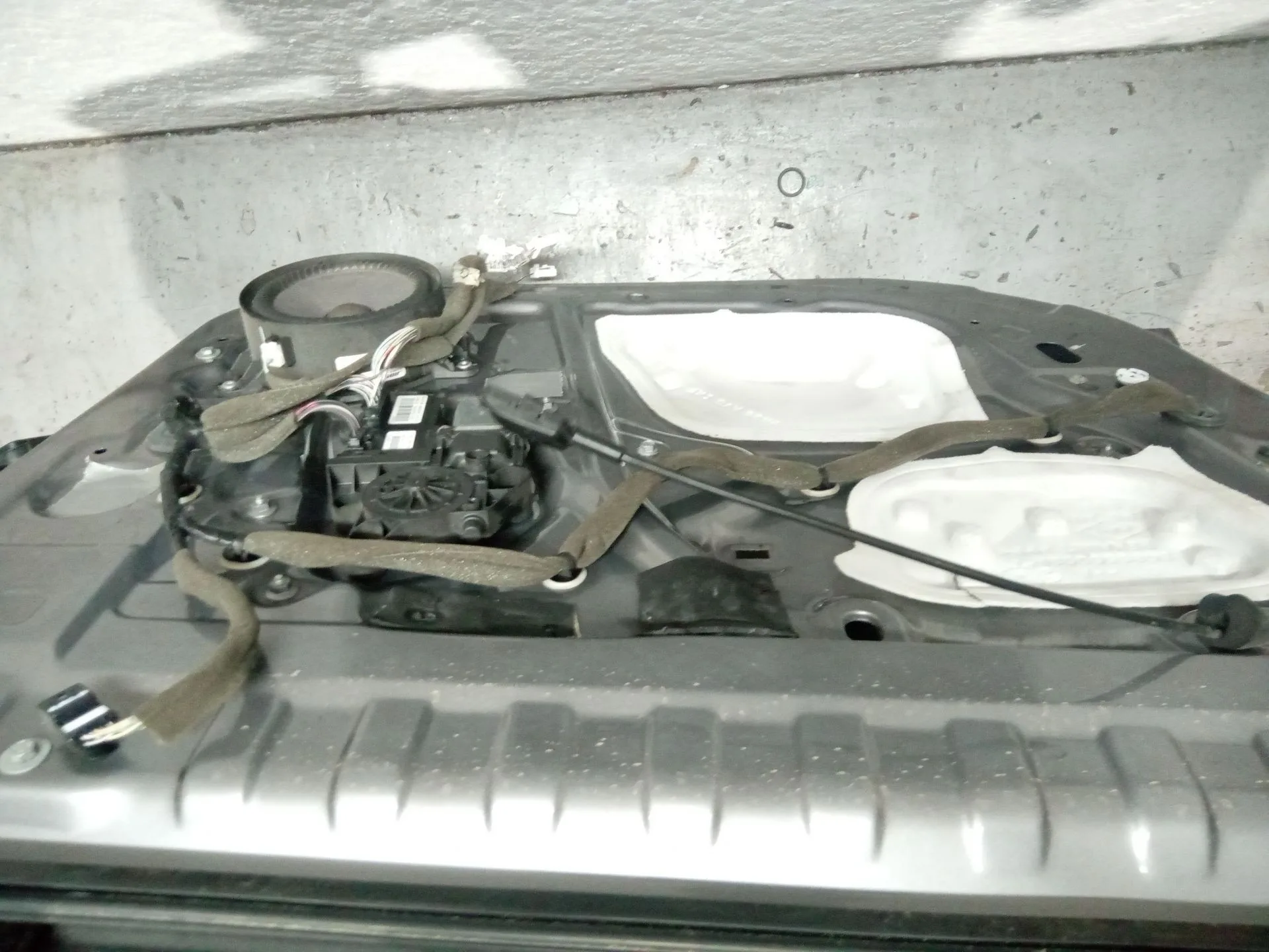Puerta Delantera Izquierda para Renault Scenic Iii (Jz0/1_)