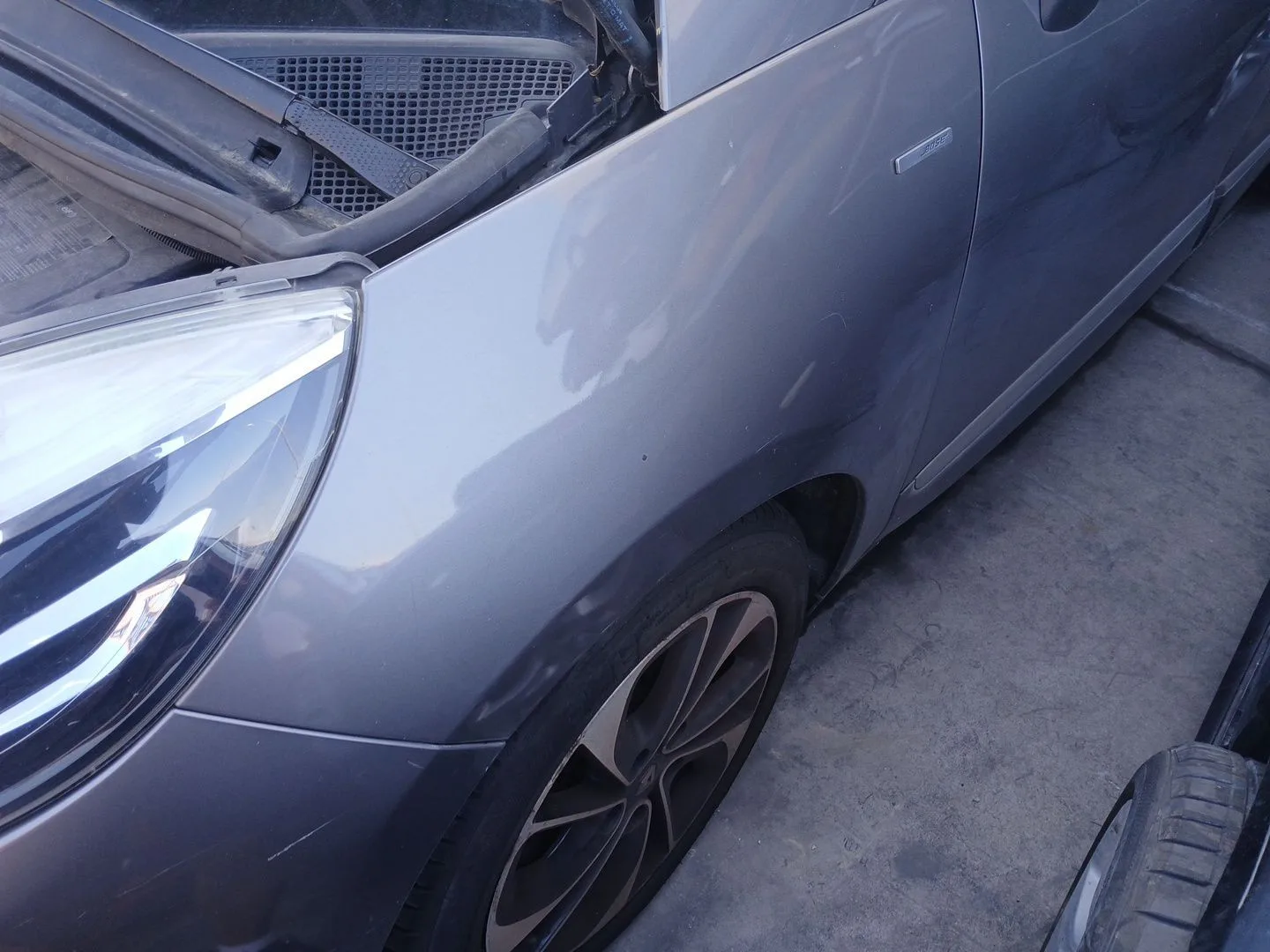 Aleta Delantera Izquierda para Renault Scenic Iii (Jz0/1_)