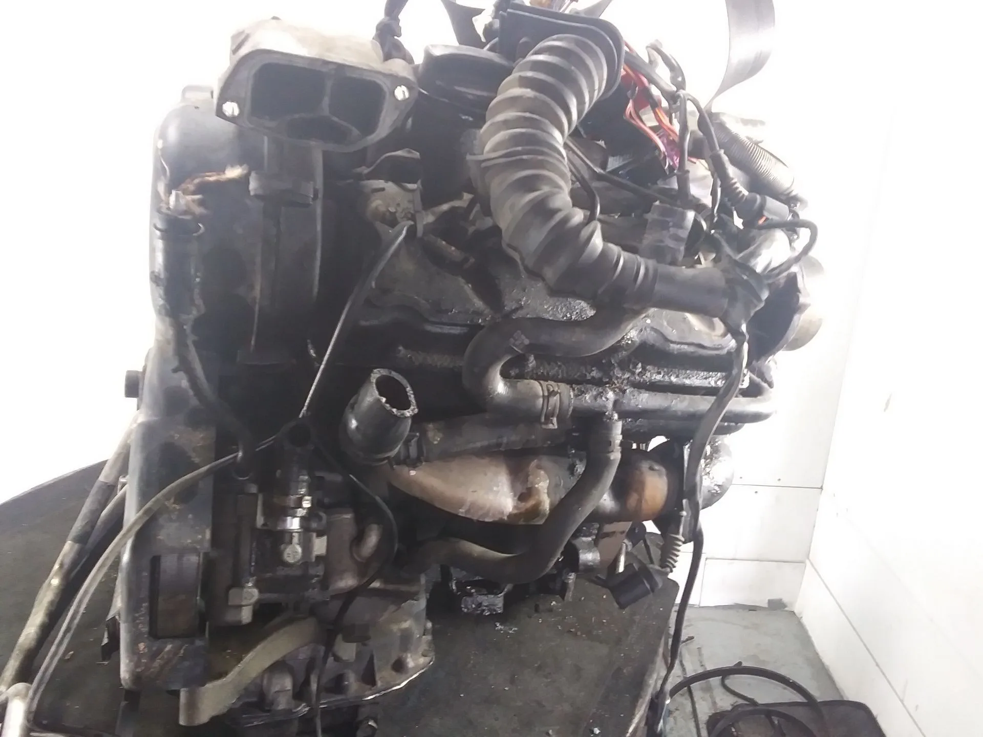 Despiece Motor para Audi A6 C5 Avant (4B5, 4B6)