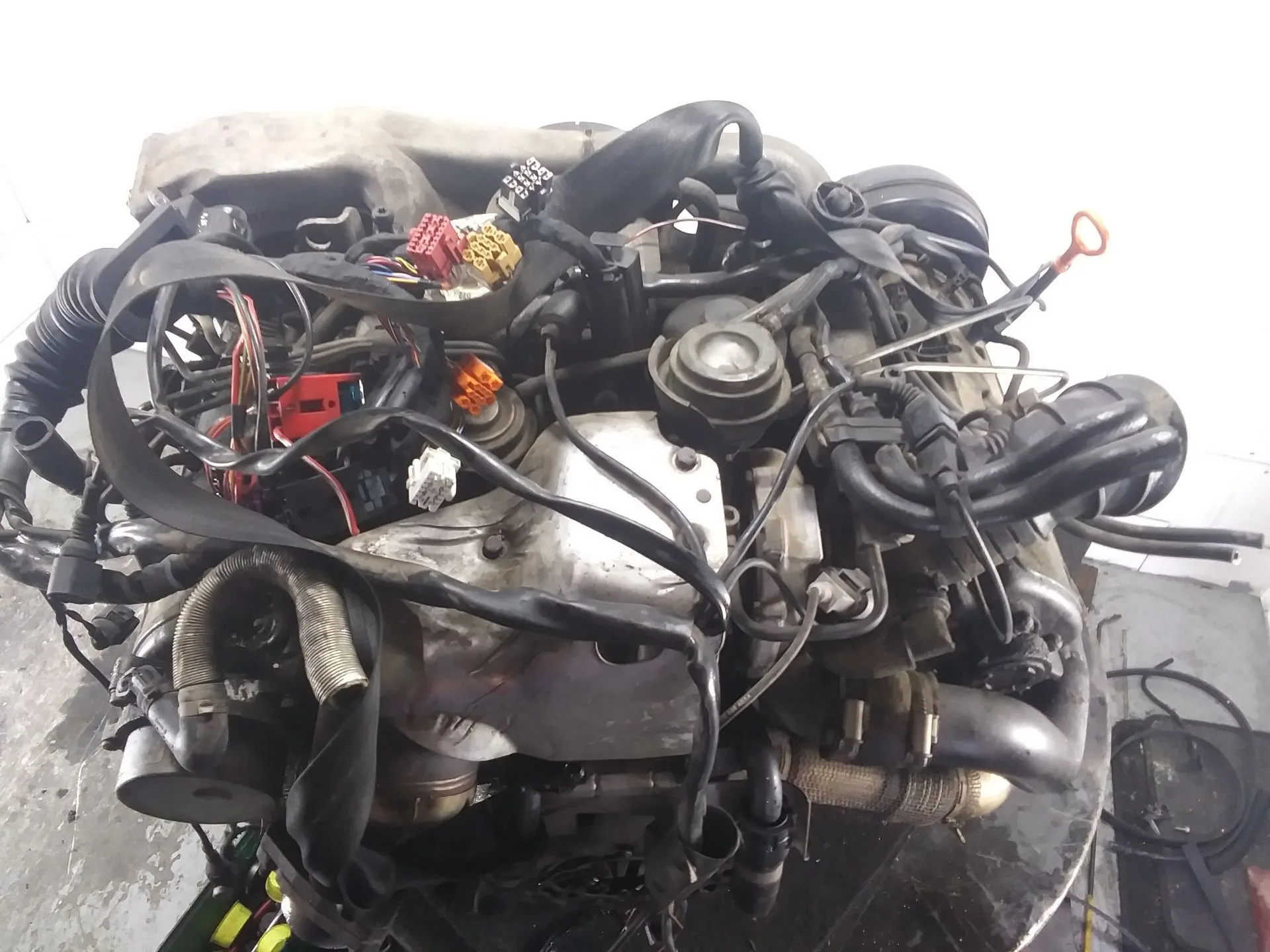 Despiece Motor para Audi A6 C5 Avant (4B5, 4B6)
