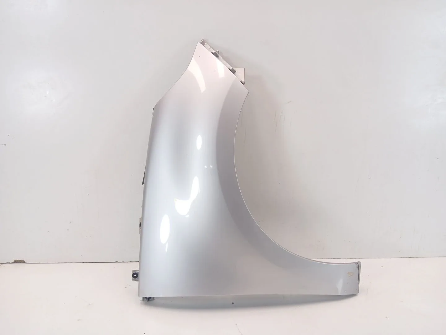 Aleta Delantera Derecha para Renault Scenic Iii (Jz0/1_)