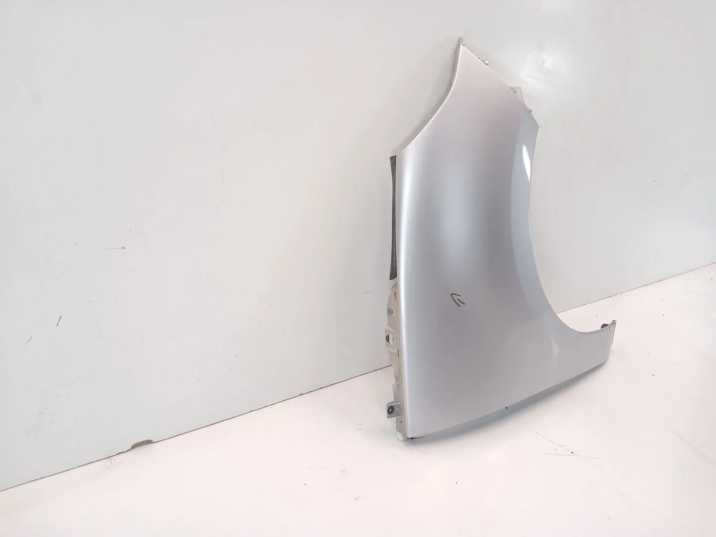 Aleta Delantera Derecha para Renault Scenic Iii (Jz0/1_)