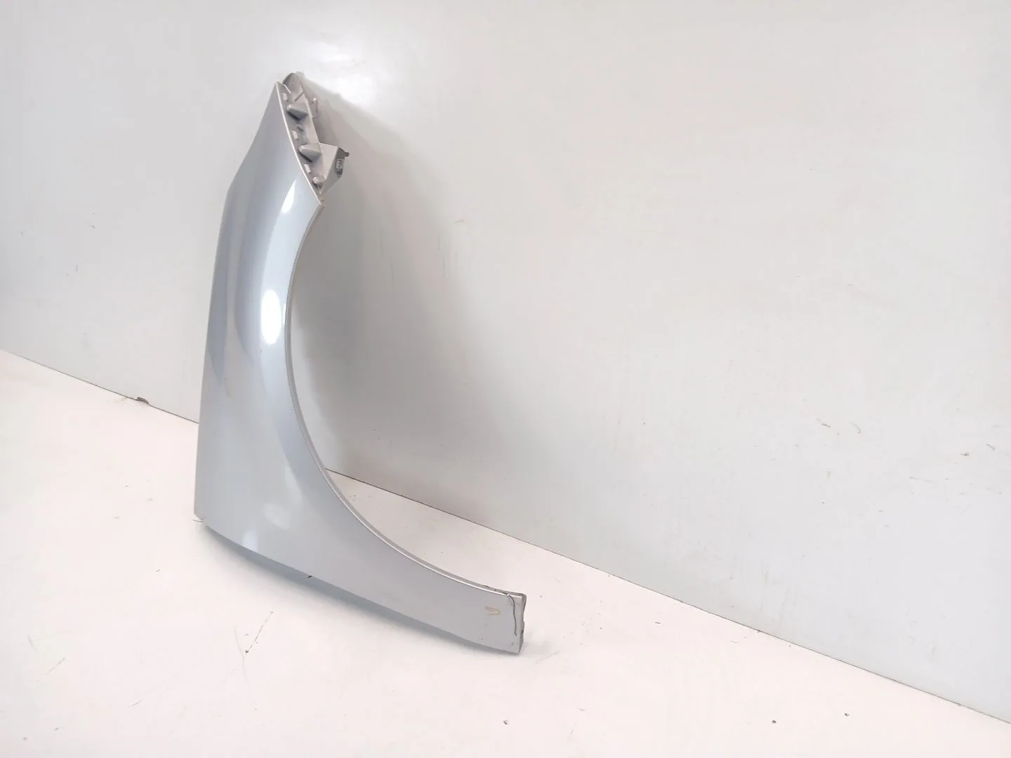 Aleta Delantera Derecha para Renault Scenic Iii (Jz0/1_)