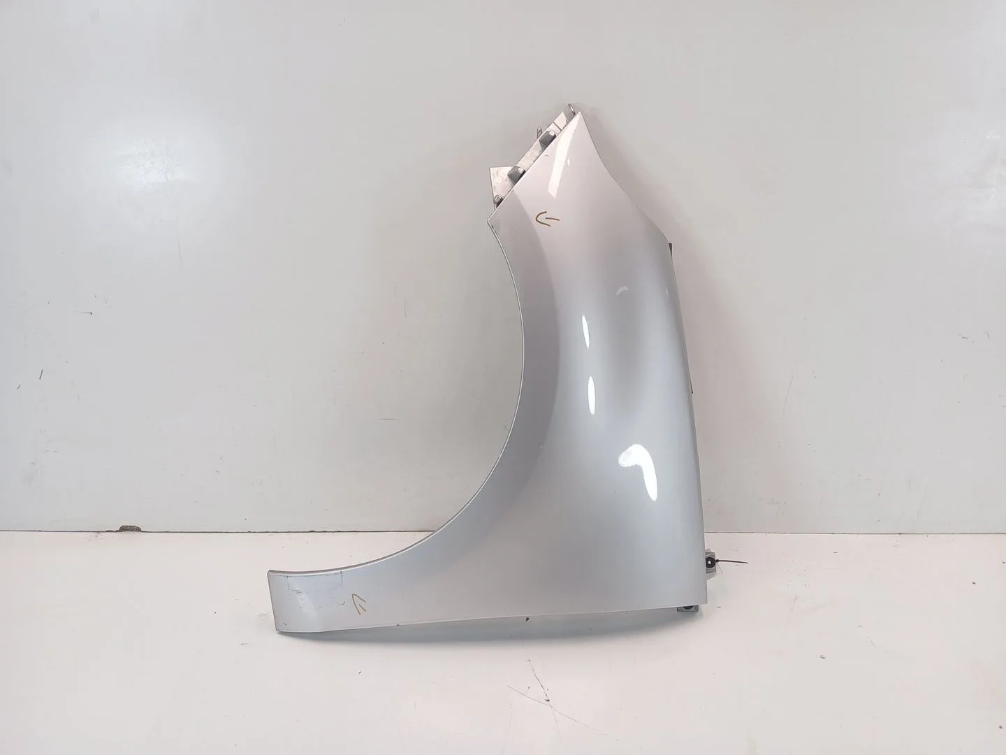 Aleta Delantera Izquierda para Renault Scenic Iii (Jz0/1_)