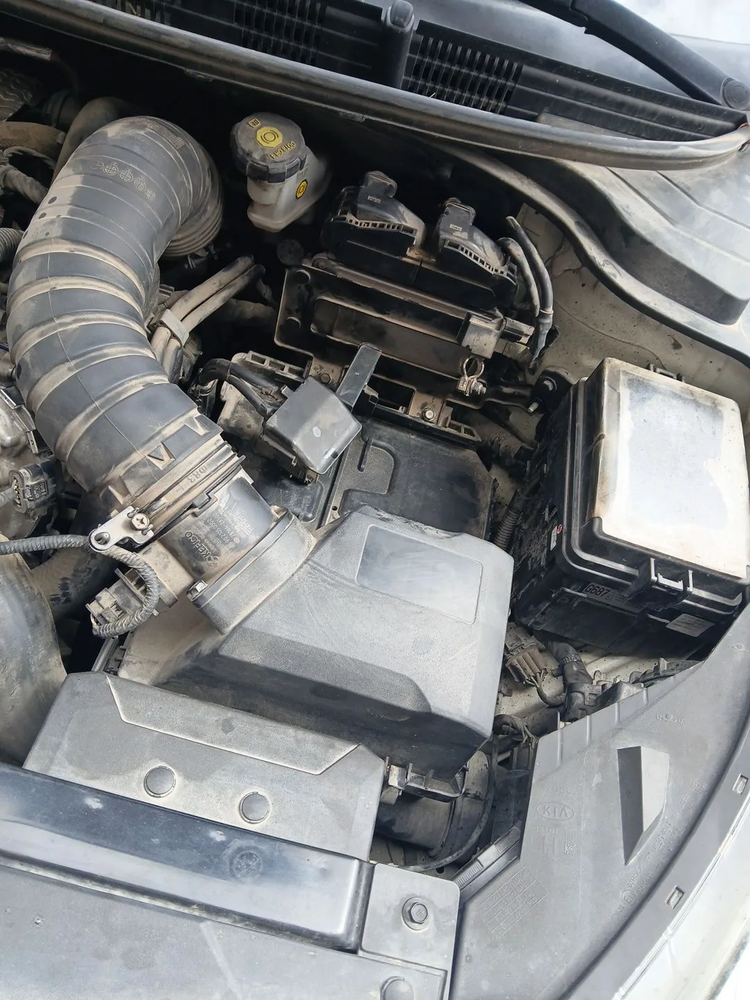 Filtro Aire para Kia Rio Iv (Yb, Sc, Fb)