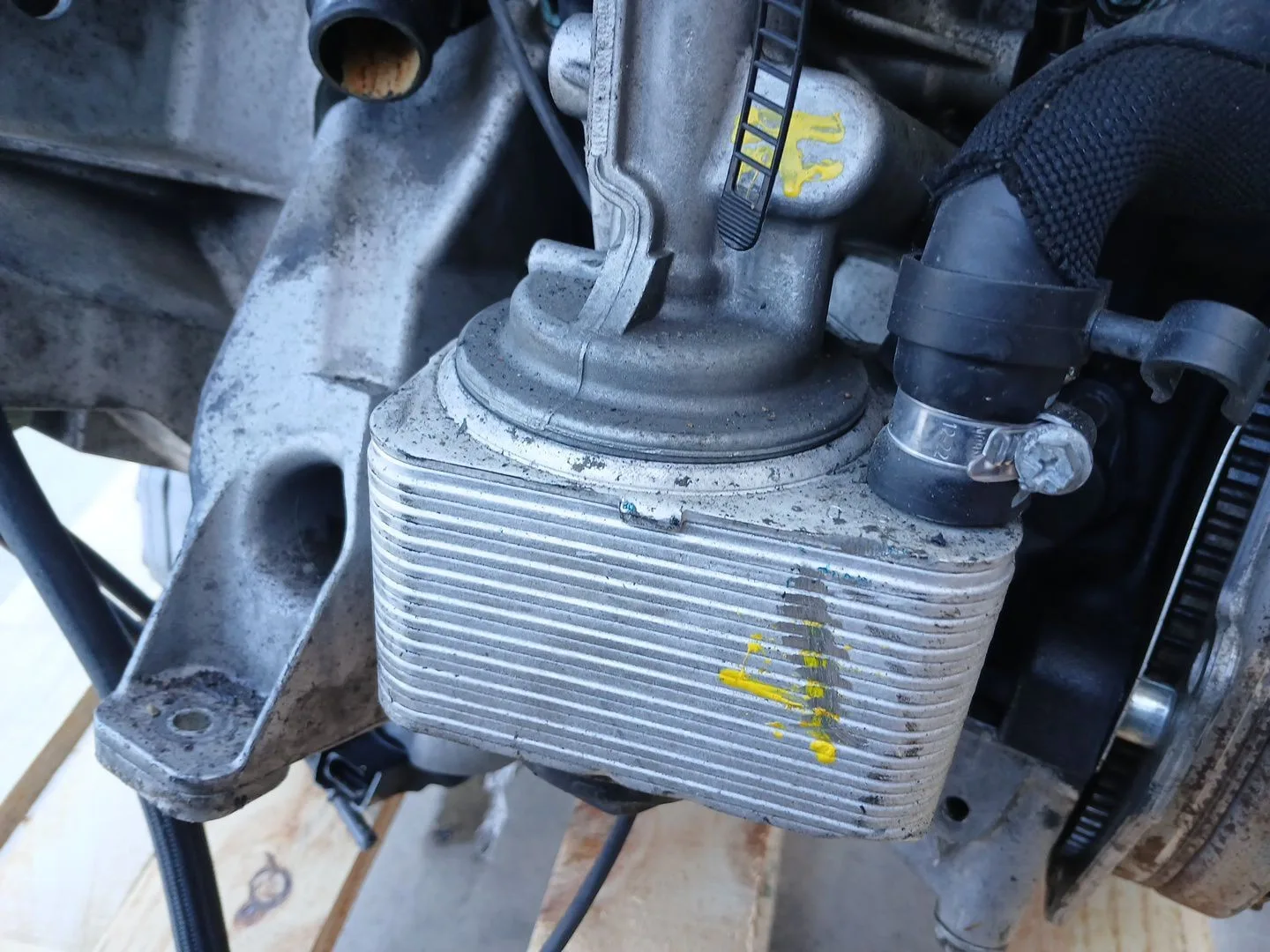 Enfriador Aceite Motor para Volkswagen Passat Berlina (3B3)