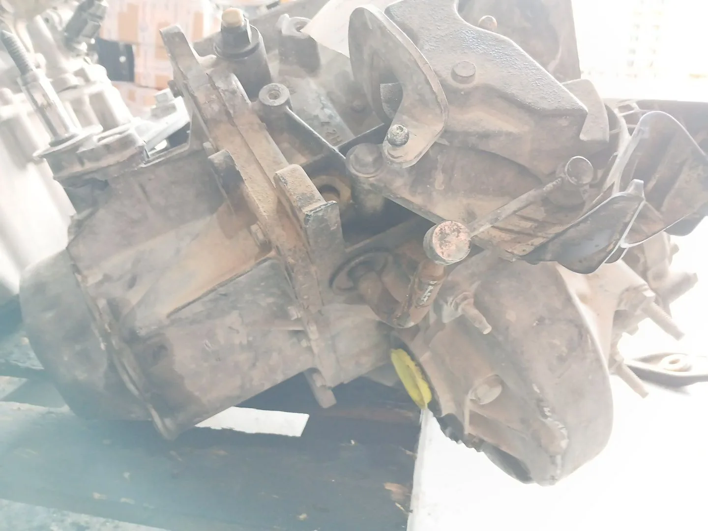 Despiece Caja Cambios para Citroën Berlingo Station Wagon