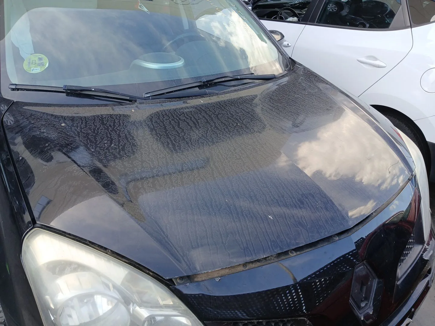 Capot para Renault Koleos I (Hy_)