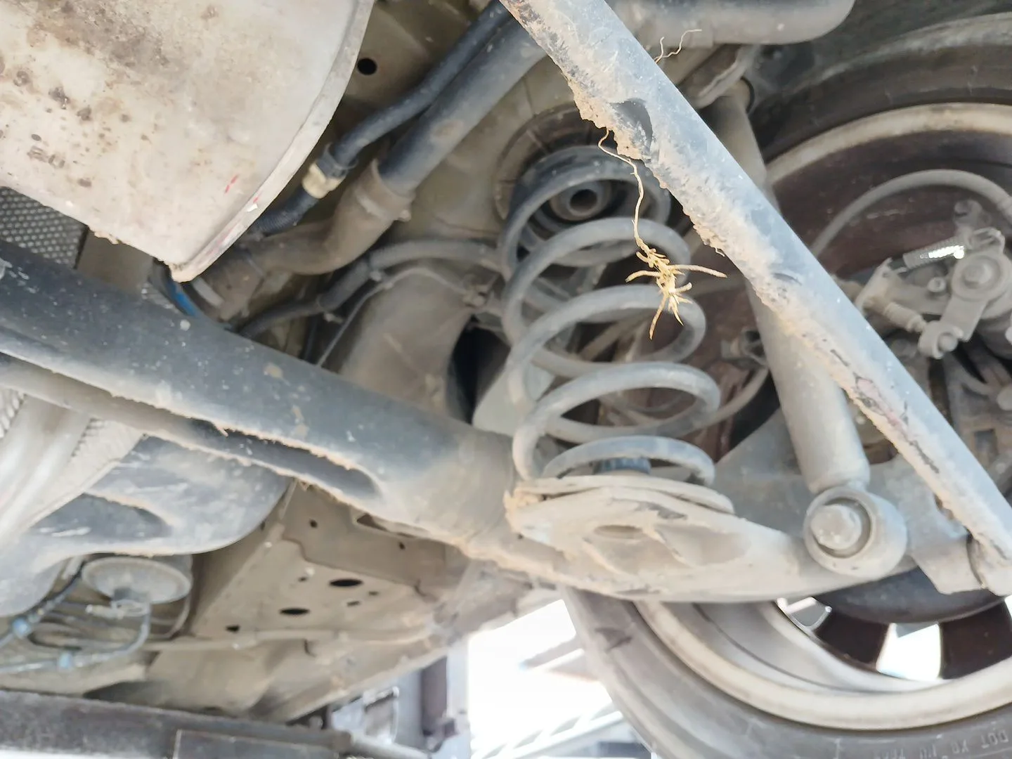 Puente Trasero para Opel Astra J Sports Tourer (P10)