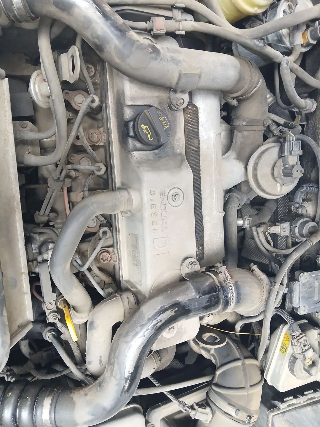 Motor Completo para Ford Focus I (Daw, Dbw)