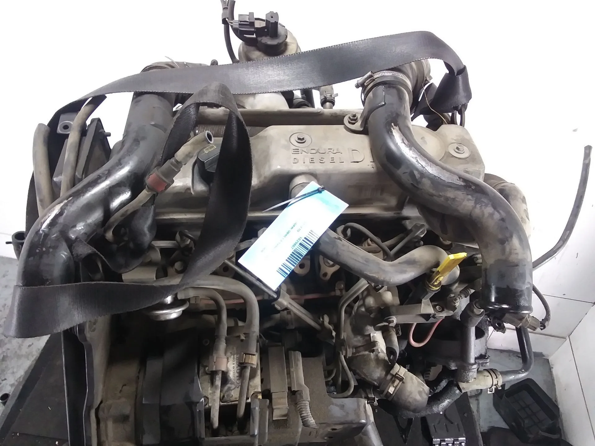 Motor Completo para Ford Focus I (Daw, Dbw)