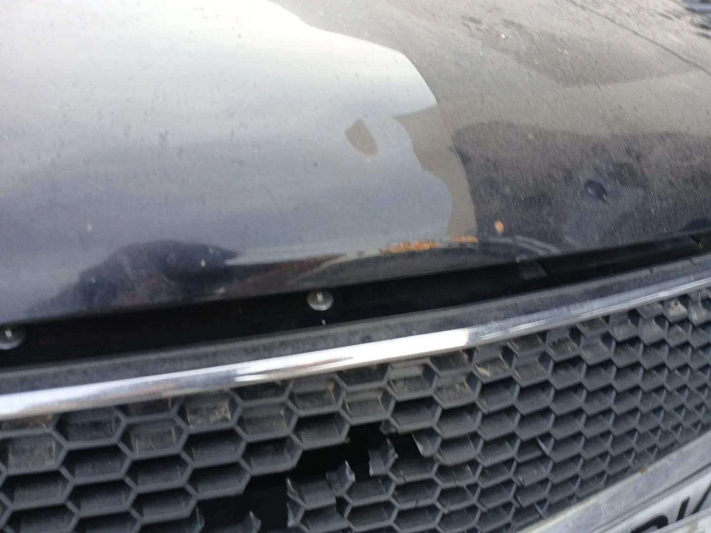 Capot para Chevrolet Aveo / Kalos Sedan (T250, T255)