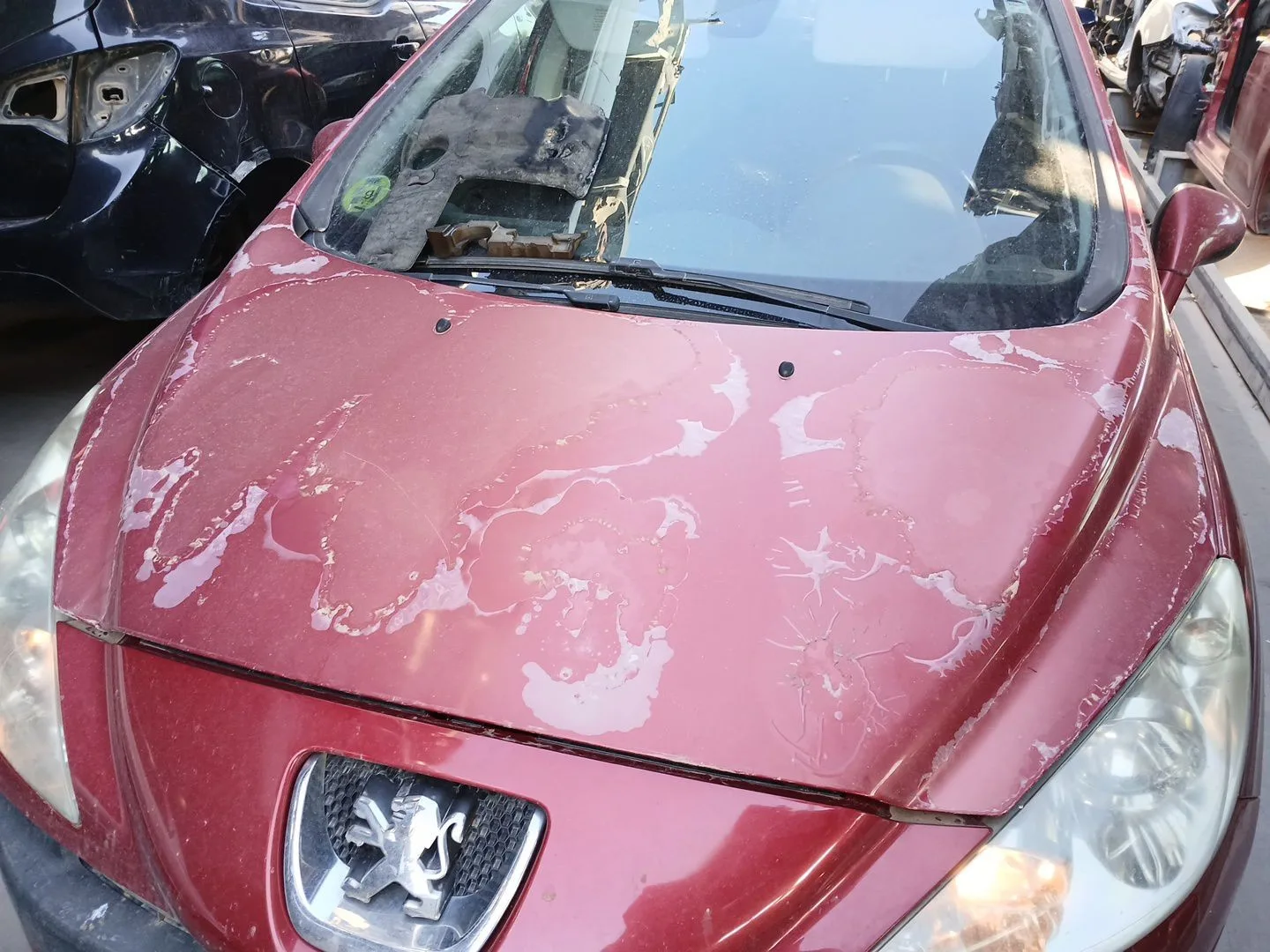 Capot para Peugeot 308 I (4A_, 4C_)