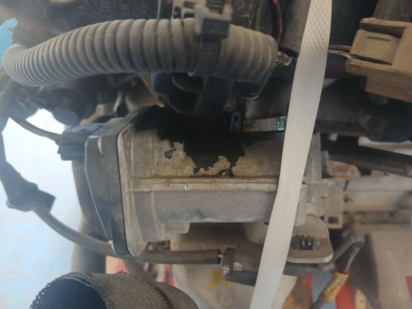 Valvula Egr para Renault Scenic Iii