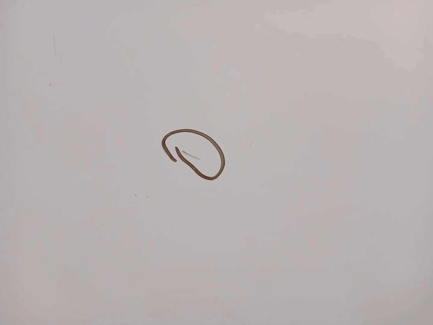 Puerta Trasera Izquierda para Nissan Qashqai I (J10, Nj10)