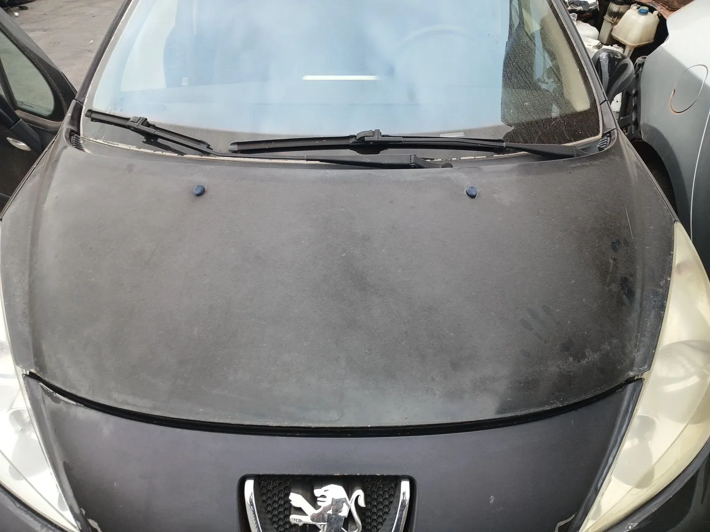 Capot para Peugeot 207/207+ (Wa_, Wc_)